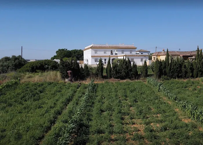 Rural Al'mare בית הארחה קוניל דה לה פרונטרה